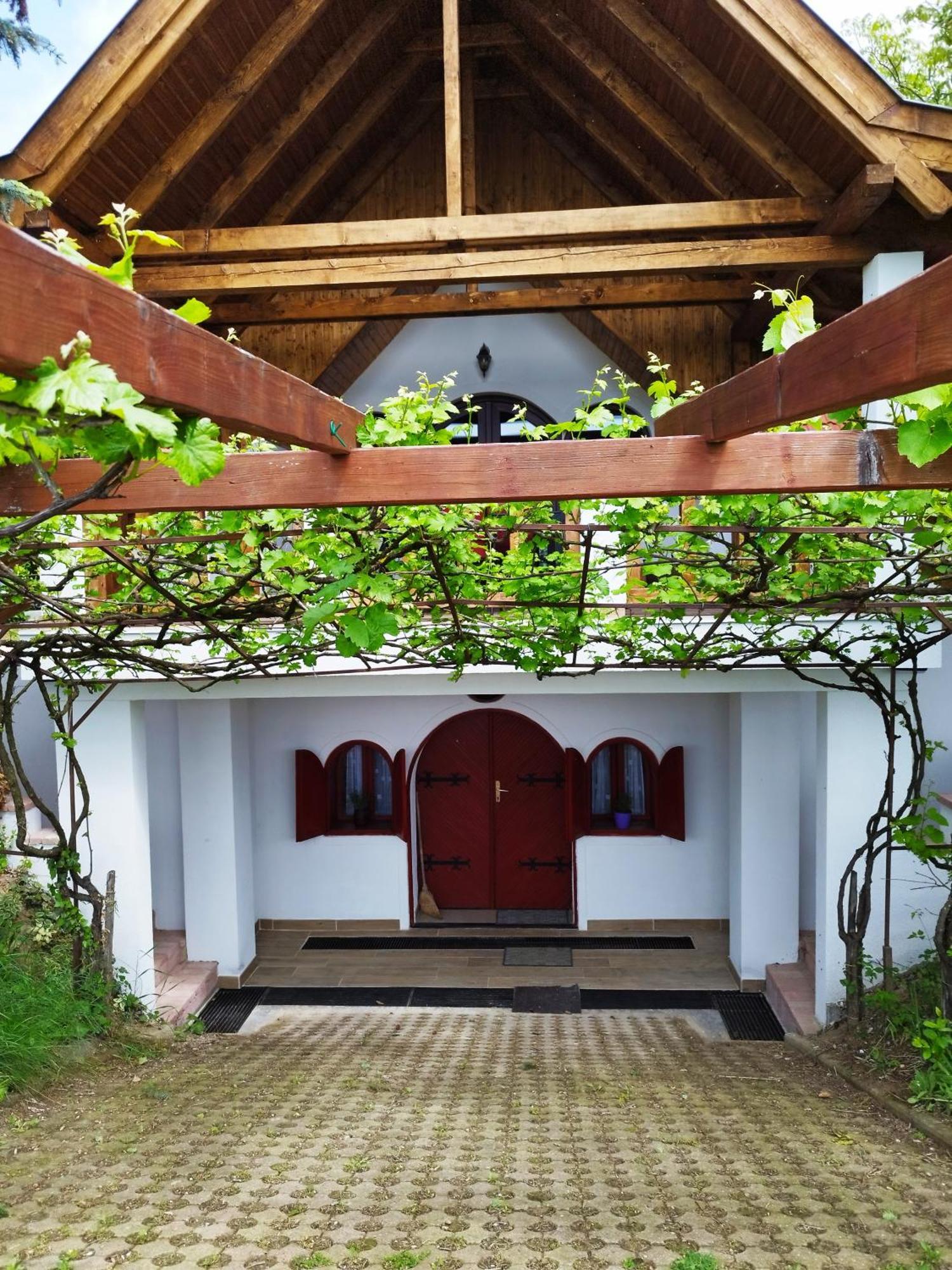 Klara Vendeghaz Villa Badacsonyörs Exterior foto